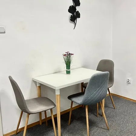 Cool And Big In Homestay Krakow