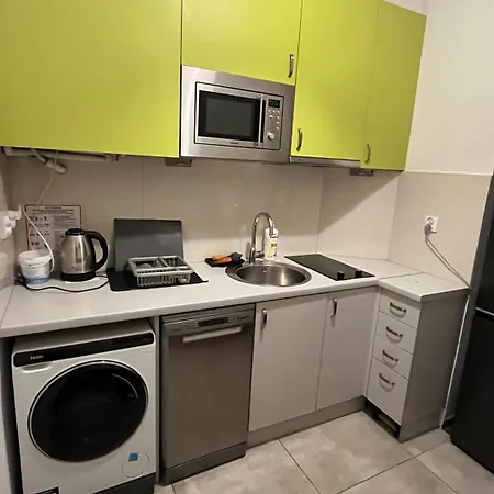 ホームステイ Cool And Big In *